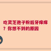 吃灵芝孢子粉后牙痒痒？你想不到的原因