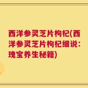 西洋参灵芝片枸杞(西洋参灵芝片枸杞细说：瑰宝养生秘籍)