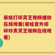 萌娃打碎灵芝视频播放在线观看(萌娃意外摔碎珍贵灵芝视频在线观看)
