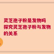 灵芝孢子粉是发物吗 探究灵芝孢子粉与发物的关系