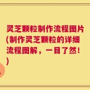 灵芝颗粒制作流程图片(制作灵芝颗粒的详细流程图解，一目了然！)