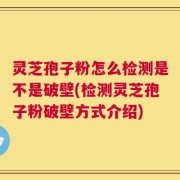 灵芝孢子粉怎么检测是不是破壁(检测灵芝孢子粉破壁方式介绍)
