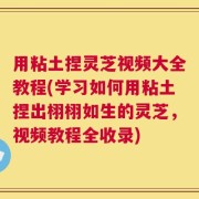 用粘土捏灵芝视频大全教程(学习如何用粘土捏出栩栩如生的灵芝，视频教程全收录)