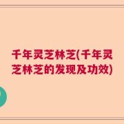 千年灵芝林芝(千年灵芝林芝的发现及功效)