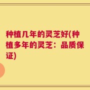 种植几年的灵芝好(种植多年的灵芝：品质保证)