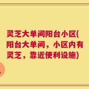 灵芝大单间阳台小区(阳台大单间，小区内有灵芝，靠近便利设施)