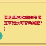 灵芝草泡水减肥吗(灵芝草泡水可否助减肥？)