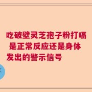 吃破壁灵芝孢子粉打嗝 是正常反应还是身体发出的警示信号