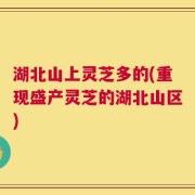 湖北山上灵芝多的(重现盛产灵芝的湖北山区)