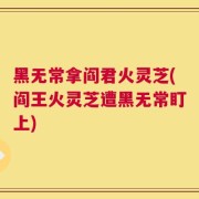 黑无常拿阎君火灵芝(阎王火灵芝遭黑无常盯上)