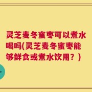 灵芝麦冬蜜枣可以煮水喝吗(灵芝麦冬蜜枣能够鲜食或煮水饮用？)