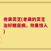 老龚灵芝(老龚的灵芝治好糖尿病，效果惊人)