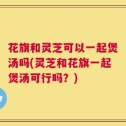 花旗和灵芝可以一起煲汤吗(灵芝和花旗一起煲汤可行吗？)