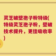 灵芝破壁孢子粉特级(特级灵芝孢子粉，壁破技术提升，更佳吸收率)