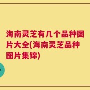 海南灵芝有几个品种图片大全(海南灵芝品种图片集锦)