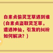 白素贞偷灵芝草遇到谁(白素贞盗取灵芝草，遭遇神仙，引发的纠纷如何解决？)