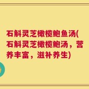 石斛灵芝橄榄鲍鱼汤(石斛灵芝橄榄鲍汤，营养丰富，滋补养生)