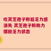 吃灵芝孢子粉后乏力感消失 灵芝孢子粉助力摆脱乏力状态