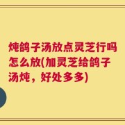炖鸽子汤放点灵芝行吗怎么放(加灵芝给鸽子汤炖，好处多多)