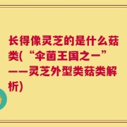 长得像灵芝的是什么菇类(“伞菌王国之一”——灵芝外型类菇类解析)