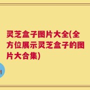 灵芝盒子图片大全(全方位展示灵芝盒子的图片大合集)