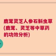 鹿茸灵芝人参石斛虫草(鹿茸、灵芝等中草药的功效分析)