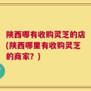 陕西哪有收购灵芝的店(陕西哪里有收购灵芝的商家？)