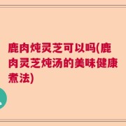 鹿肉炖灵芝可以吗(鹿肉灵芝炖汤的美味健康煮法)