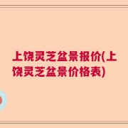 上饶灵芝盆景报价(上饶灵芝盆景价格表)