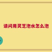 请问用灵芝泡水怎么泡