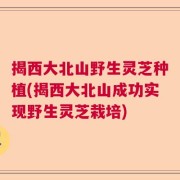 揭西大北山野生灵芝种植(揭西大北山成功实现野生灵芝栽培)