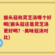 猴头菇和灵芝汤哪个好喝(猴头菇还是灵芝汤更好喝？-美味菇汤对比)