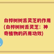 白桦树树舌灵芝的作用(白桦树树舌灵芝：神奇植物的药用功效)