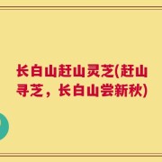长白山赶山灵芝(赶山寻芝，长白山尝新秋)