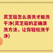 灵芝菇怎么清洗才能洗干净(灵芝菇的正确清洗方法，让你轻松洗干净)