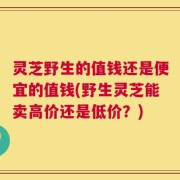 灵芝野生的值钱还是便宜的值钱(野生灵芝能卖高价还是低价？)