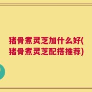 猪骨煮灵芝加什么好(猪骨煮灵芝配搭推荐)