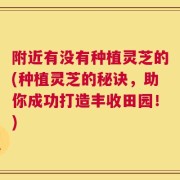 附近有没有种植灵芝的(种植灵芝的秘诀，助你成功打造丰收田园！)