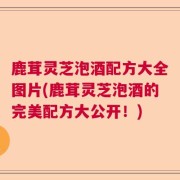 鹿茸灵芝泡酒配方大全图片(鹿茸灵芝泡酒的完美配方大公开!)