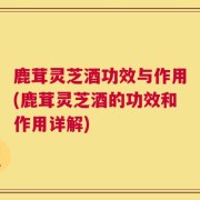 鹿茸灵芝酒功效与作用(鹿茸灵芝酒的功效和作用详解)
