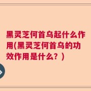 黑灵芝何首乌起什么作用(黑灵芝何首乌的功效作用是什么?)