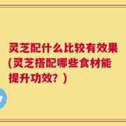 灵芝配什么比较有效果(灵芝搭配哪些食材能提升功效？)