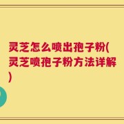 灵芝怎么喷出孢子粉(灵芝喷孢子粉方法详解)
