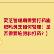 灵芝管理期需要打药施肥吗灵芝如何管理：是否需要施肥和打药？)