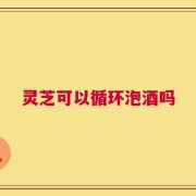 灵芝可以循环泡酒吗