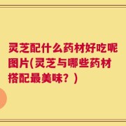 灵芝配什么药材好吃呢图片(灵芝与哪些药材搭配最美味？)