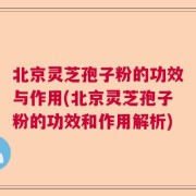北京灵芝孢子粉的功效与作用(北京灵芝孢子粉的功效和作用解析)