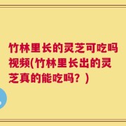 竹林里长的灵芝可吃吗视频(竹林里长出的灵芝真的能吃吗？)