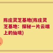 陈庄灵芝基地(陈庄灵芝基地：探秘一片云端上的仙境)