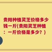 贵阳种植灵芝价格多少钱一斤(贵阳灵芝种植：一斤价格是多少？)